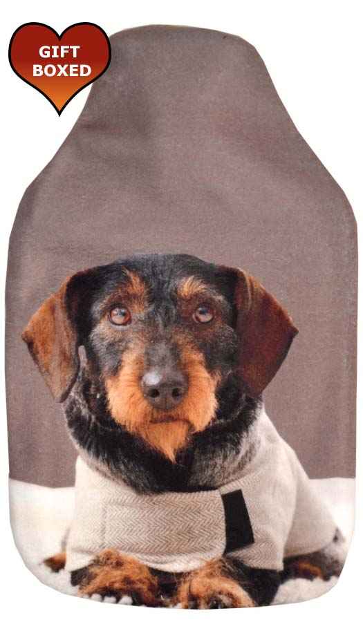 dachshund hot water bottle